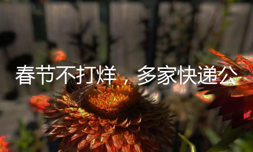 春節(jié)不打烊，多家快遞公司持續(xù)提供服務(wù)