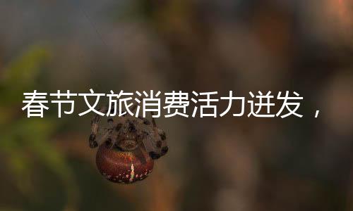 春節(jié)文旅消費活力迸發(fā)，多彩活動點燃節(jié)日氛圍