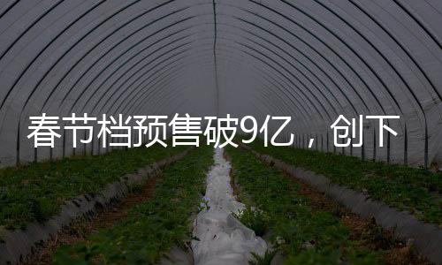 春節(jié)檔預(yù)售破9億，創(chuàng)下了電影市場(chǎng)新紀(jì)錄