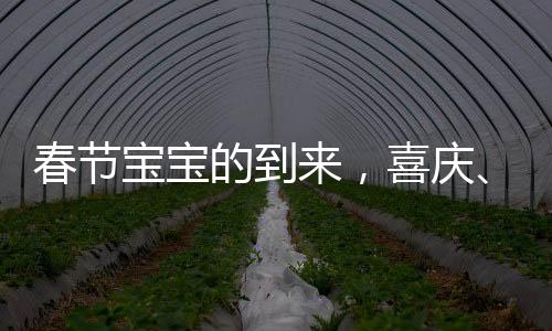 春節(jié)寶寶的到來，喜慶、希望與未來的美好序曲