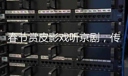 春節(jié)賞皮影戲聽京劇，傳統(tǒng)文化藝術(shù)的獨(dú)特魅力