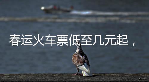 春運火車票低至幾元起，優(yōu)惠來襲助力億萬歸鄉(xiāng)心切的人回家團(tuán)圓