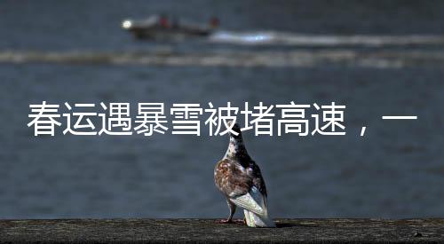 春運遇暴雪被堵高速，一場突如其來的挑戰(zhàn)與應對之道