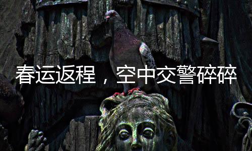 春運返程，空中交警碎碎念