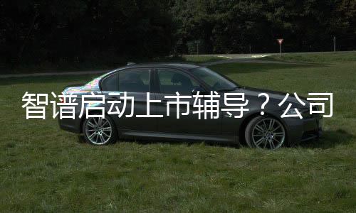 智譜啟動上市輔導(dǎo)？公司回應(yīng)：正式啟動IPO流程