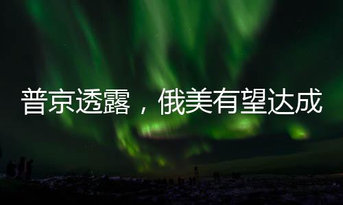 普京透露，俄美有望達成一致削減50%軍備