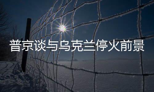 普京談與烏克蘭停火前景，復(fù)雜局勢(shì)下的前景展望