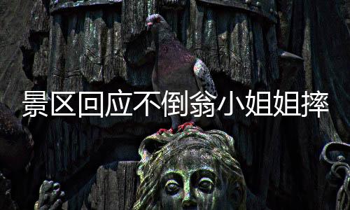 景區(qū)回應(yīng)不倒翁小姐姐摔倒事件，關(guān)注安全，保障游客體驗(yàn)