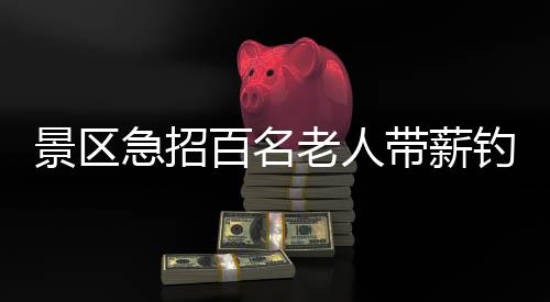 景區(qū)急招百名老人帶薪釣魚，一場關(guān)于休閑與回憶的盛大活動