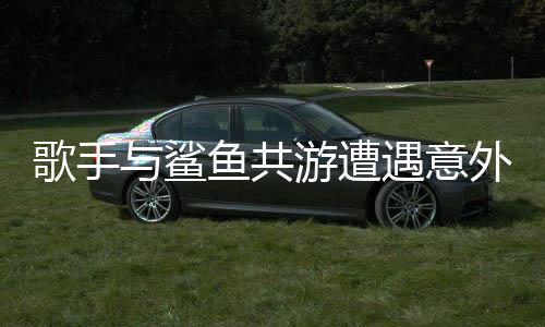 歌手與鯊魚共游遭遇意外，一場(chǎng)驚心動(dòng)魄的海洋冒險(xiǎn)