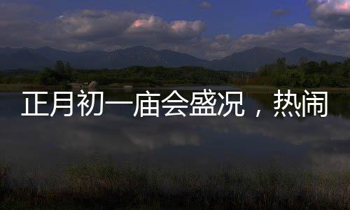 正月初一廟會(huì)盛況，熱鬧非凡的慶?；顒?dòng)