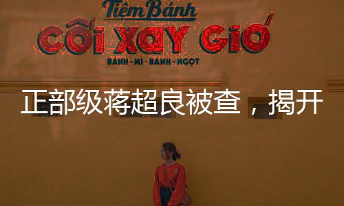 正部級蔣超良被查，揭開權(quán)力背后的隱秘面紗