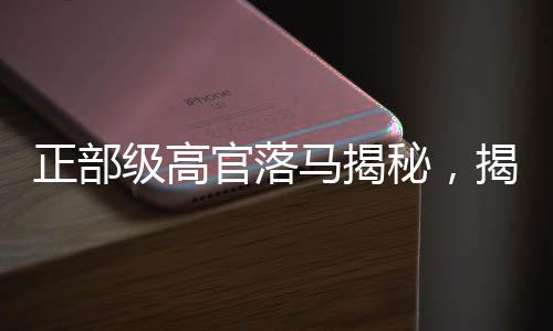 正部級(jí)高官落馬揭秘，揭秘逮捕過程及背后的深層原因