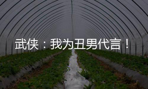 武俠：我為丑男代言！