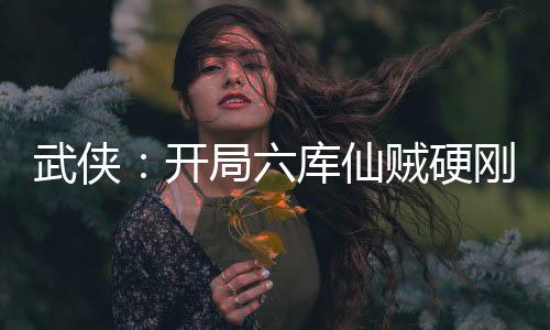 武俠：開(kāi)局六庫(kù)仙賊硬剛不良帥