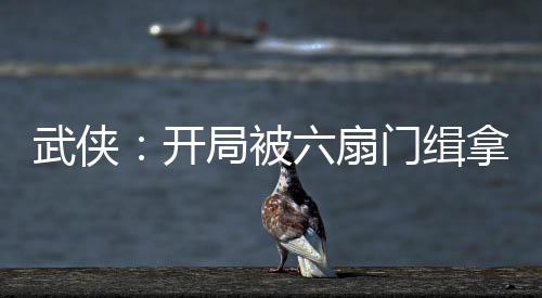 武俠：開(kāi)局被六扇門(mén)緝拿