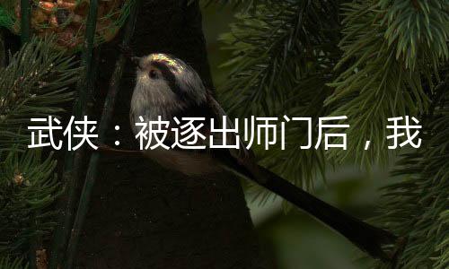 武俠：被逐出師門(mén)后，我中了狀元