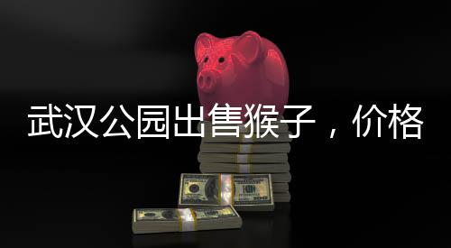 武漢公園出售猴子，價(jià)格起步3000元——引發(fā)關(guān)注和熱議