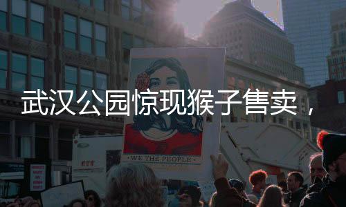 武漢公園驚現(xiàn)猴子售賣，單價(jià)高達(dá)三千元起，引發(fā)社會關(guān)注