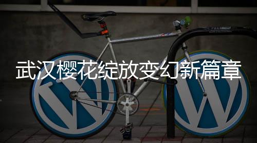 武漢櫻花綻放變幻新篇章，櫻花下的冰糖葫蘆情懷