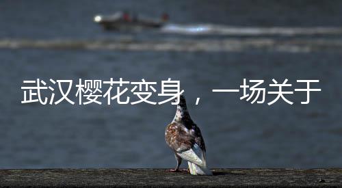 武漢櫻花變身，一場關于冰糖葫蘆的文化創(chuàng)意之旅