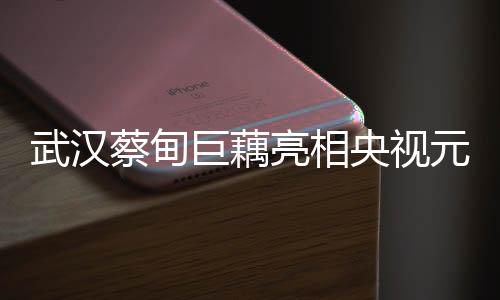 武漢蔡甸巨藕亮相央視元宵晚會，一展地方文化魅力