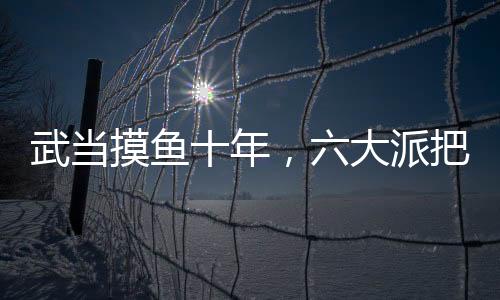 武當(dāng)摸魚十年，六大派把我曝光了