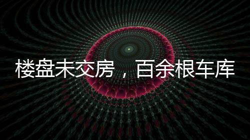 樓盤未交房，百余根車庫立柱被削薄——工程質(zhì)量問題引發(fā)關注