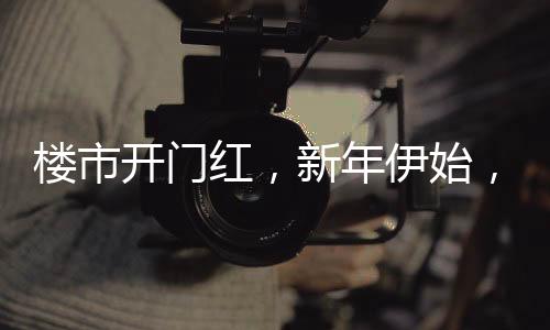 樓市開門紅，新年伊始，20城新房成交量同比增長達33%，開啟新篇章