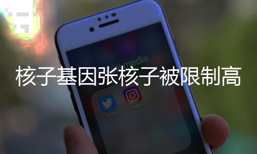 核子基因張核子被限制高消費，探究背后的故事與啟示