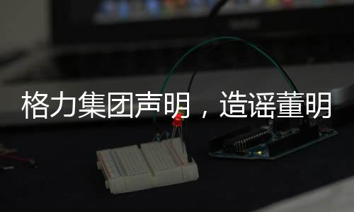 格力集團(tuán)聲明，造謠董明珠的五個(gè)幕后黑手遭受行政處罰