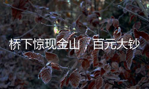 橋下驚現(xiàn)金山，百元大鈔鋪滿地