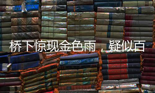 橋下驚現(xiàn)金色雨，疑似百元大鈔漫天飛舞，知情人透露背后真相