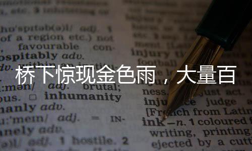 橋下驚現(xiàn)金色雨，大量百元大鈔散落一地，背后隱藏著哪些故事？