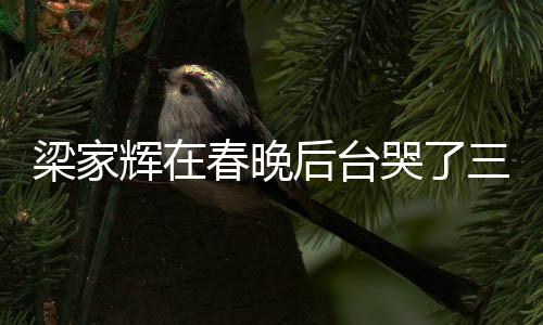 梁家輝在春晚后臺(tái)哭了三次，感人至深的背后故事
