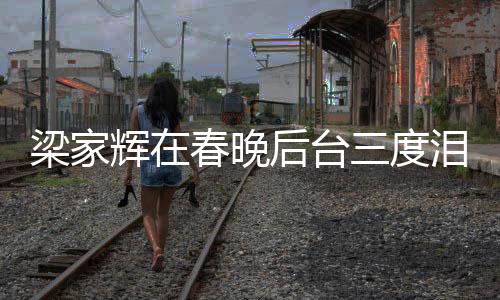 梁家輝在春晚后臺(tái)三度淚灑舞臺(tái)，背后的故事令人動(dòng)容