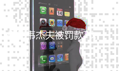 梅德韋杰夫被罰款76,000美元，引發(fā)關(guān)注與思考