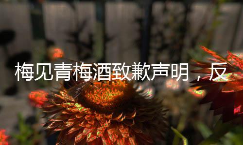 梅見青梅酒致歉聲明，反思、整改與未來品質(zhì)承諾