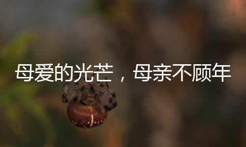 母愛的光芒，母親不顧年齡差異，勇敢捐腎救子患尿毒癥的寶貝兒子