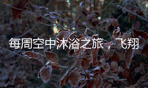 每周空中沐浴之旅，飛翔的洗護新風尚