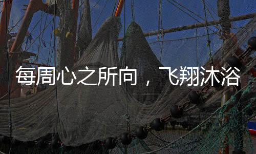 每周心之所向，飛翔沐浴——渴望飛行與追求身心凈化的旅程