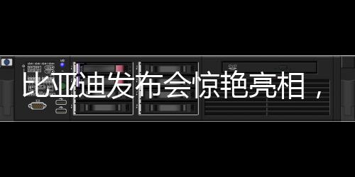比亞迪發(fā)布會驚艷亮相，一口氣發(fā)布超過二十款全新車型
