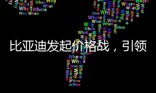 比亞迪發(fā)起價格戰(zhàn)，引領新一輪行業(yè)變革