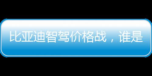 比亞迪智駕價(jià)格戰(zhàn)，誰(shuí)是真正的緊張者？