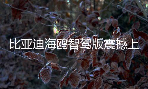 比亞迪海鷗智駕版震撼上市，售價(jià)7.88萬起