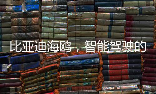 比亞迪海鷗，智能駕駛的新里程碑，僅售價(jià)七萬(wàn)多元起