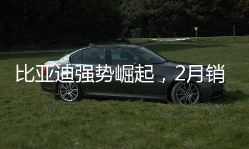 比亞迪強勢崛起，2月銷售突破32萬輛大關(guān)