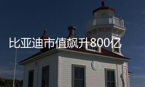 比亞迪市值飆升800億，揭示其成功背后的力量
