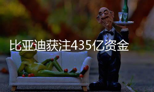 比亞迪獲注435億資金，加速發(fā)展補(bǔ)血新策略引領(lǐng)行業(yè)新風(fēng)向