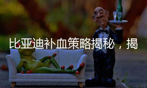 比亞迪補(bǔ)血策略揭秘，揭秘資金布局，預(yù)見未來發(fā)展